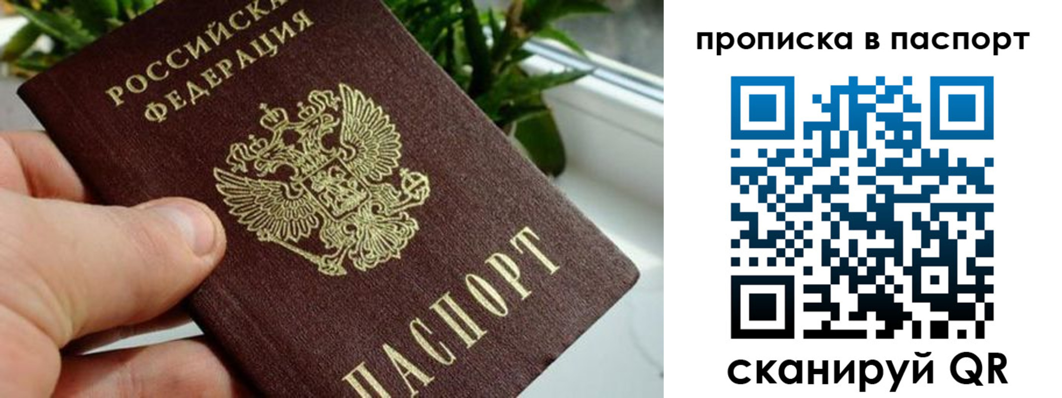 временная регистрация поиск в Салавате